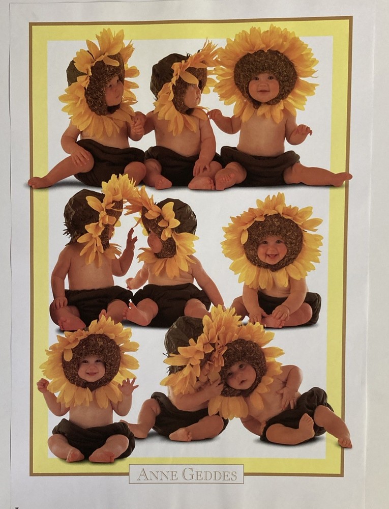 Ann Geddes, “A. G. Sunflowers” Original Poster # 8391. Poster size 13.5 x 19.25