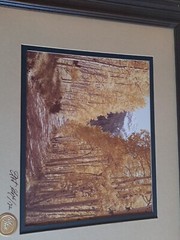 Vintage Framed Colorado Trail ART Photography by Colorado Artist Art Gore Signed