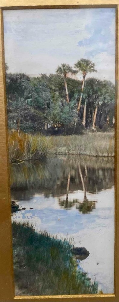 OLD 1930s HAND TINTED PHOTO OF FLORIDA
