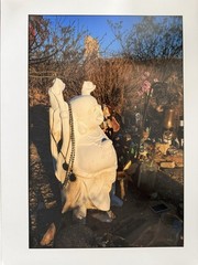 11×14 Laughing Buddha Statue Photography Print | Spiritual Garden Art Photo