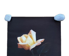 Large Yellow Flower Art Print Original Vintage 1980’s 16″X 21″
