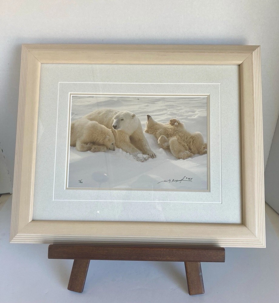 Thomas Mangelsen Polar Bear Cubs «Winter Itch» Signed Limited Edition Photograph