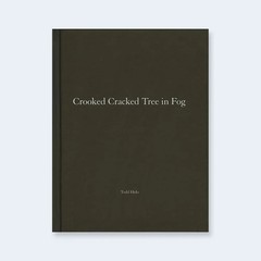 TODD HIDO Nazraeli One Picture Book 60 Crooked Cracked Tree