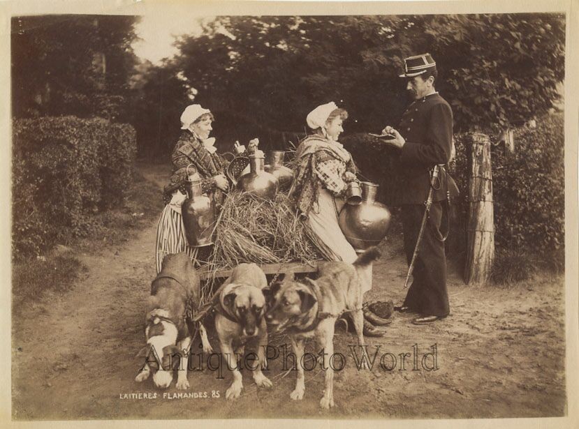 Belgium women milk maids w soldier and dog carriage cart antique albumen photo
