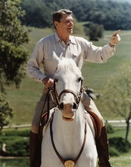 Ronald Reagan 8×10 Photo President Reagan Portrait Vintage White House 40th USA