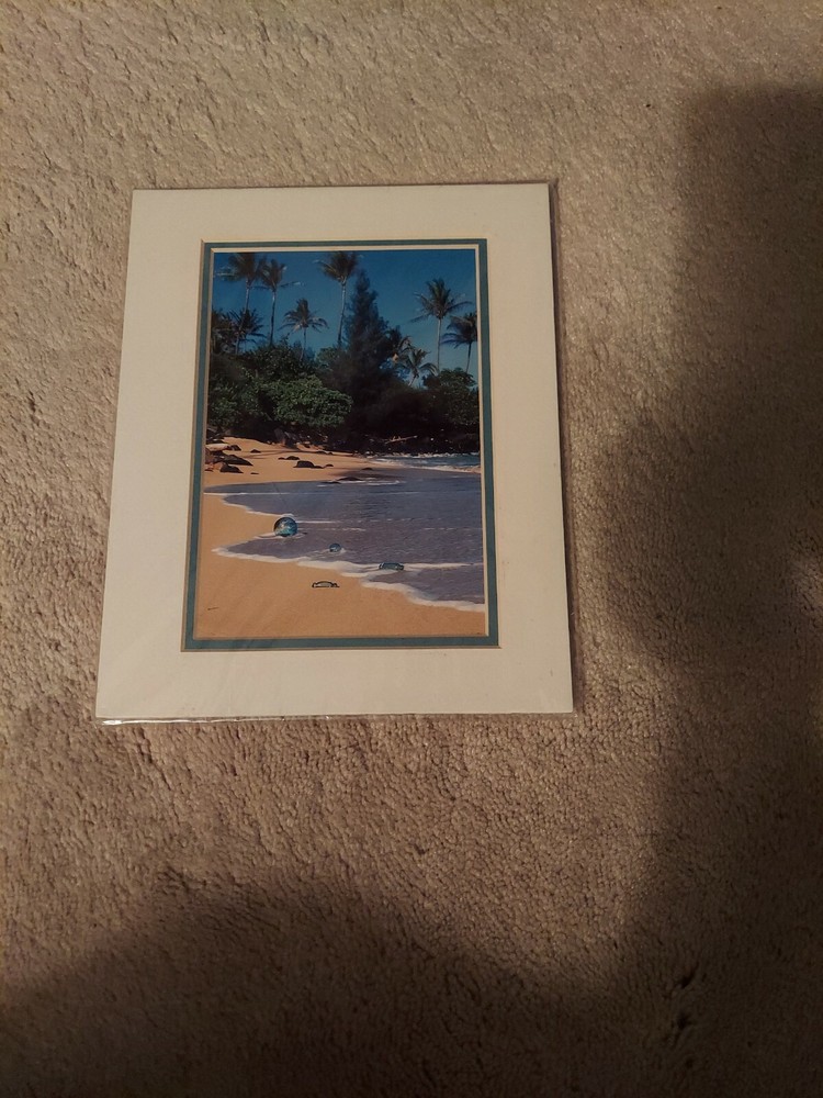 Art Photo GLASS BALL FISHING FLOATS 1996 Hawaii by Victoria McCormick