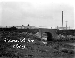 14 glass negatives 1890s / 1900s people wedding Naval Chatham Southsea Torquay