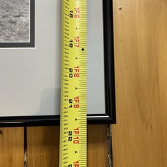 Charles Teenie Harris Photo Homestead Grays Baseball Pittsburgh Negro League 26″