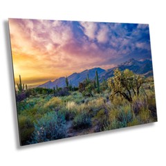 Desert Wonderland: Painted Sky Sunset Sabino Canyon Wall Art Cactus Canvas Print