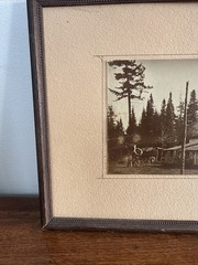 Superb Vintage Adirondack Photo House In The Pines
