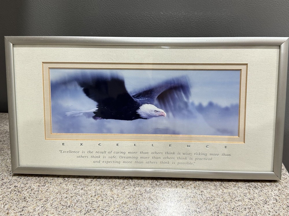 Excellence “King Of The Skies” Eagle Portrait, Photography By Frank Oberle EUC