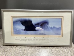 Excellence “King Of The Skies” Eagle Portrait, Photography By Frank Oberle EUC