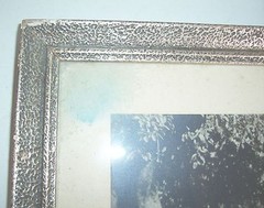 Signed photo winner mare Karpfhamer folk festival 1953 broodmare in frame!