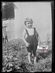 Young Boy, Child, Vintage Glass Photo Plate, Black & White Negative 9X12 Cm