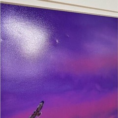 Debbie Yarra Nature’s Light Photography Print Hawk Spirit Soars in the Garden