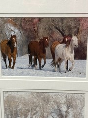 Tri Photo Horse Themed Piece In Wood Frame Signed