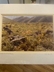 John Clement Snake River Canyon Spring Signed Print Matted 14” X 11”