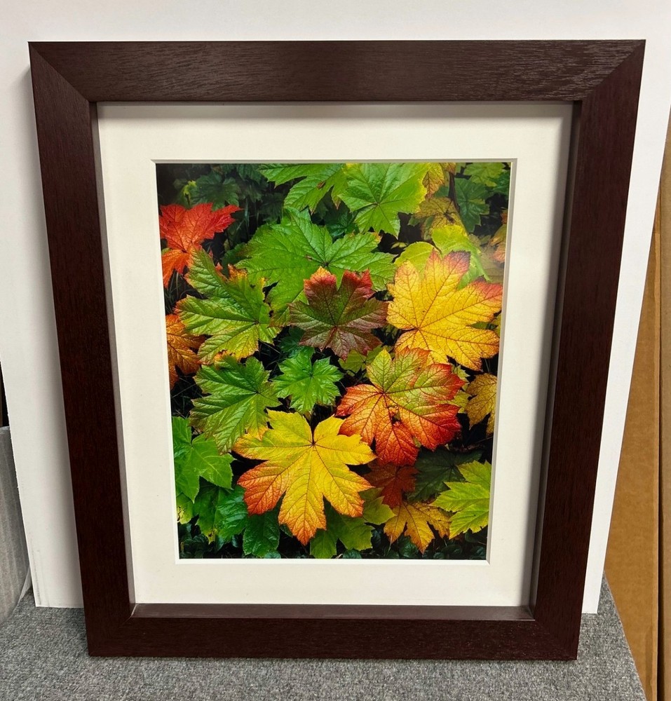 Rodney Lough, Jr. Original Landscape Photograph Custom Framed *HollywoodPosters»