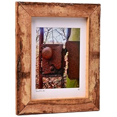 MICHAEL RAY Original Vintage Signed NY Secret Garden Landscape Photograph Print