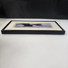 Excellence King Of The Skies Eagle Photo Art Framed Frank Oberle Photography