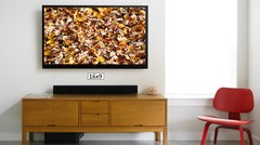 Fall Colored Dead Leaves 2, High Resolution Image, Many Formats, TV Art