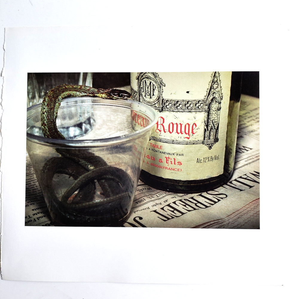 Book Plate Norfleet 1984 5-1/8 X 7-5/8 Garter snake, wine bottle and Wall Street