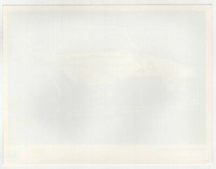 22x16cm Vintage Work Photo 1982 Rolls Royce Corniche Convertible Photo