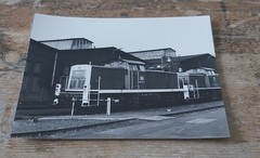 Large B/W Photo BW Cologne-Deutzerfeld Diesel Locomotive 290 174