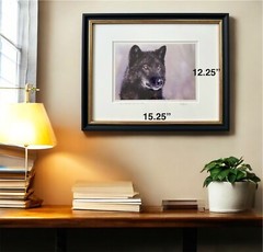 Randy Napier Signed Framed Limited Edition Art Photograph Gray Wolf In Snow 2005