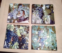 Lot of 4 Fine Art Photography On Metal – Signed RETAILS $175 EA – Vineyard Theme