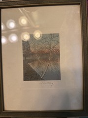 Antique Wallace Nutting Hand Colored Photo Birch Trees Pond in Original Frame