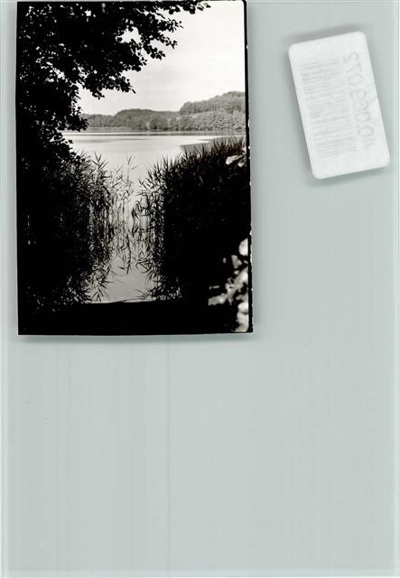 40069072 – 2423 Holstein Switzerland