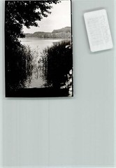 40069072 – 2423 Holstein Switzerland
