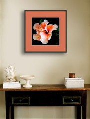 Hibiscus Spectacular 12″ x 12″ Fine Art Print Floral Garden Hawaiian Flower