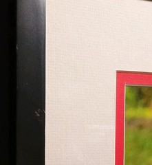 Sandhill Crane Art Photography NANCY C. MORELAND 17 X 21″