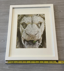 Vintage Fine Art Print of Masonry Architectural Lion with Lollipop Framed12x15″