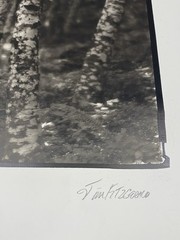 Jim Fitzgerald The Group of Three Signed Photograph Carbon Transfer