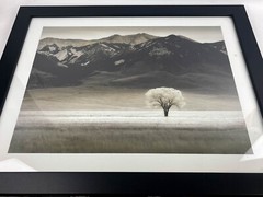 Framed Photograph Print With Glass “LONE TREE IV” by Dennis Frates 36×28”