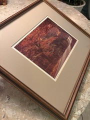 Bill Coleman Signed Amish No 58 Matted & Framed Photograph Autumn Bliss