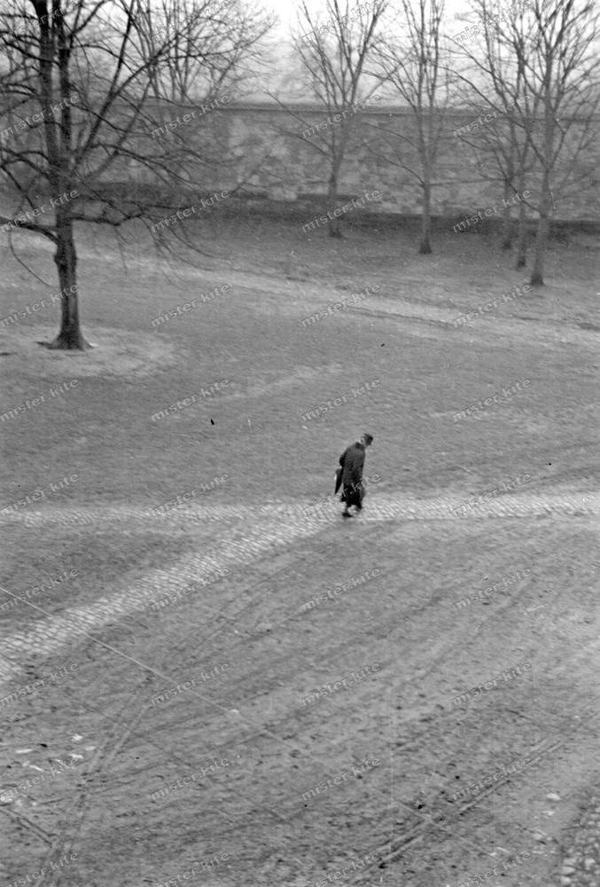 Negative-Marksuhl-Thuringia-Wartburgkreis-Schlosshof-Park-1930s-175