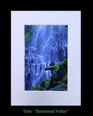 matted photograph, 5″x7″ print, mounted 3/16″ foam with 8″x10″ single white mat