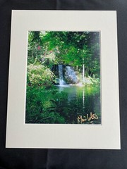 11 X 14 Matted Photo – signed by photographer Marie Whitton- BAHAMAS FALLS