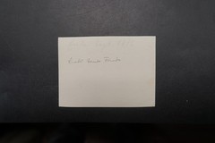 Photo portrait women tennis player model court racket group picture dress skirt