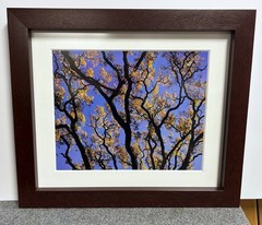Rodney Lough, Jr. Original Landscape Photograph Custom Framed *HollywoodPosters»