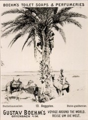 Photo Egypt, date collector, advertisement Boehm’s toilet soaps – 11088845