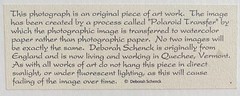 Deborah Schenck Original One of a Kind Polaroid Transfer to Watercolor Paper