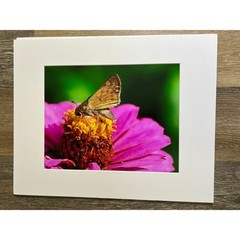 Butterfly Photography 16×20 Multi-Color Matted Wall Art