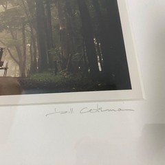 Bill Coleman Amish No 998 • Signed Artist Proof Framed Color Photograph • Buggy