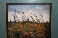 Vtg Bill Turner Art Photograph «Mama’s Washtub» 1976 Signed Framed Rural Scene