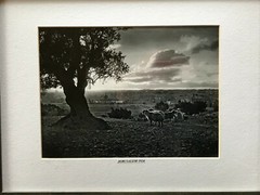 art photographs of Jerusalem from the 1920s and 1930s